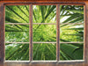 Grüner Bambus 3D Wandtattoo Fenster
