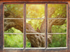 Mächtiger Baum im Wald 3D Wandtattoo Fenster