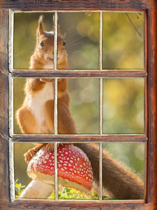 Eichhörnchen auf Fliegenpilz 3D Wandtattoo Fenster