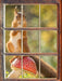 Eichhörnchen auf Fliegenpilz 3D Wandtattoo Fenster