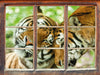 Zwei liebkosende Tiger 3D Wandtattoo Fenster