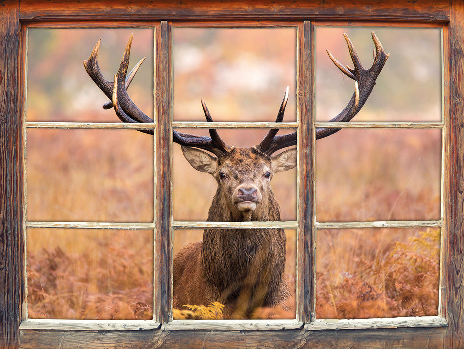 Großer Hirsch im Feld 3D Wandtattoo Fenster