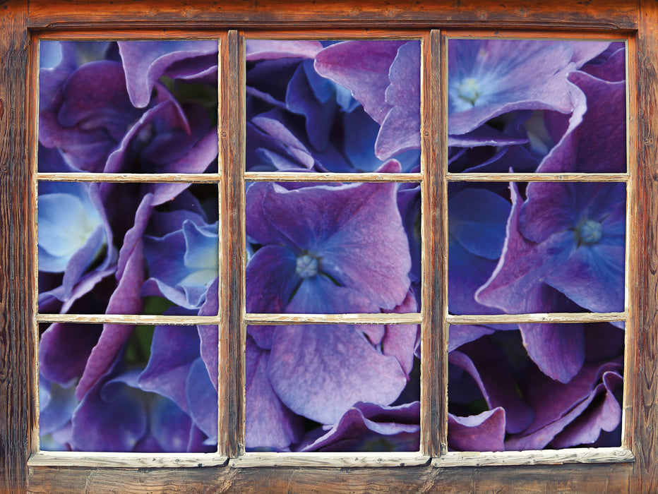 Blaue Hortensien Blüte 3D Wandtattoo Fenster