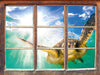 Grüne Meeresschildkröte  3D Wandtattoo Fenster