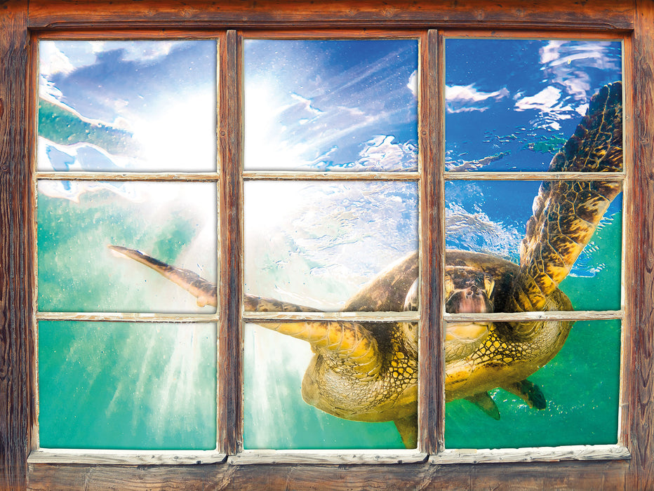 Grüne Meeresschildkröte  3D Wandtattoo Fenster