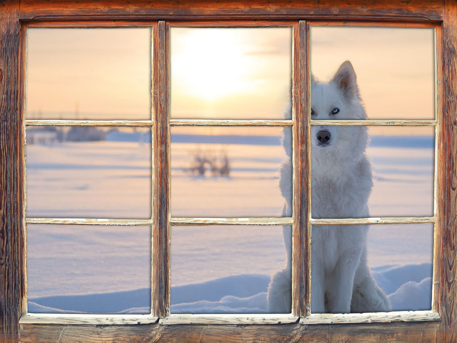 Weißer Wolf im Schnee 3D Wandtattoo Fenster