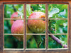 Köstliche wilde Äpfel  3D Wandtattoo Fenster