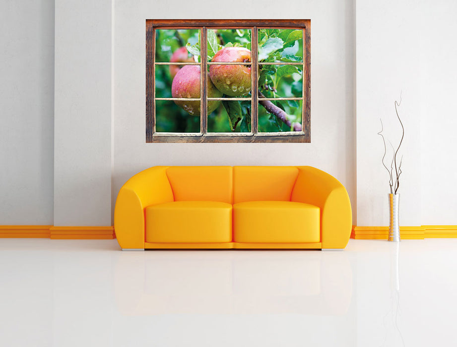 Köstliche wilde Äpfel 3D Wandtattoo Fenster Wand
