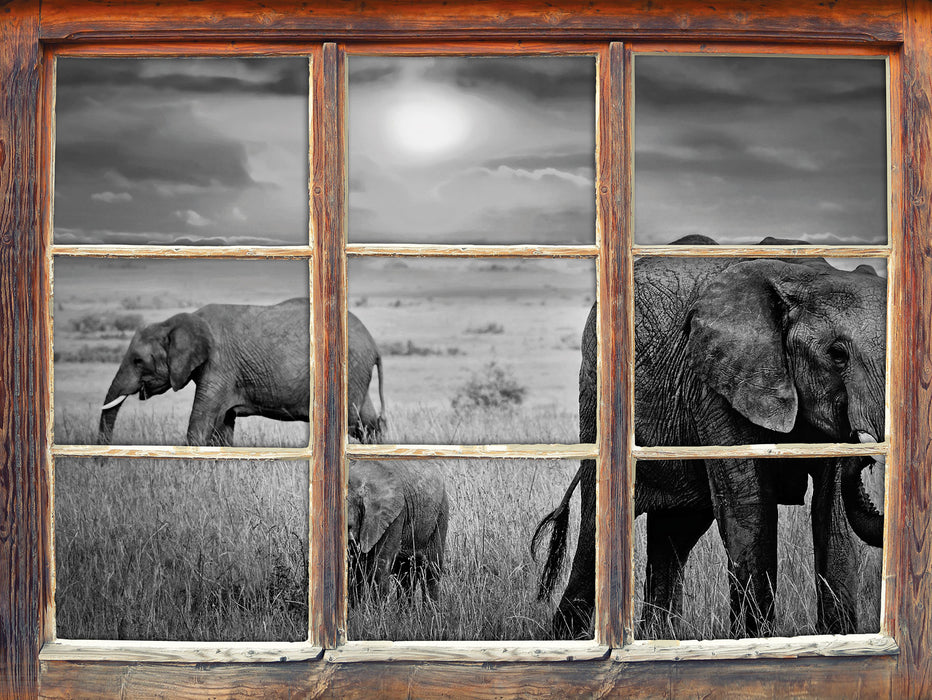 Elefanten in der Savanne 3D Wandtattoo Fenster