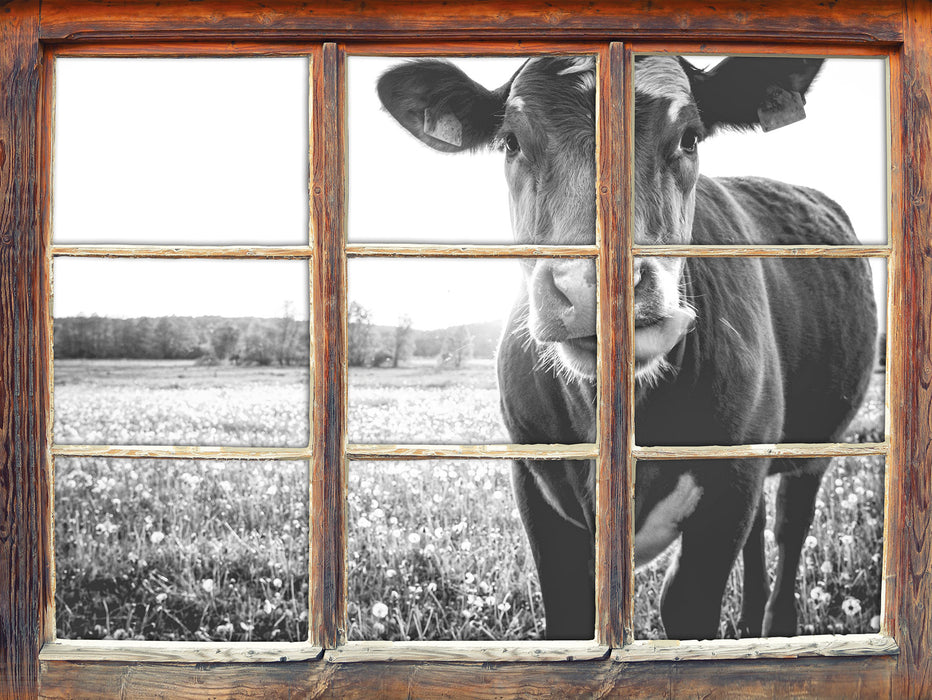 Kuh auf Wiese B&W 3D Wandtattoo Fenster