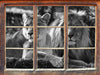 interessiertes Löwenpaar Kunst B&W 3D Wandtattoo Fenster