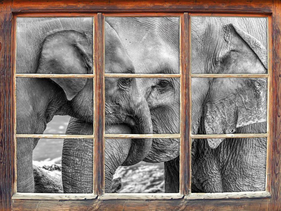 Elefantenmutter mit Kalb B&W 3D Wandtattoo Fenster