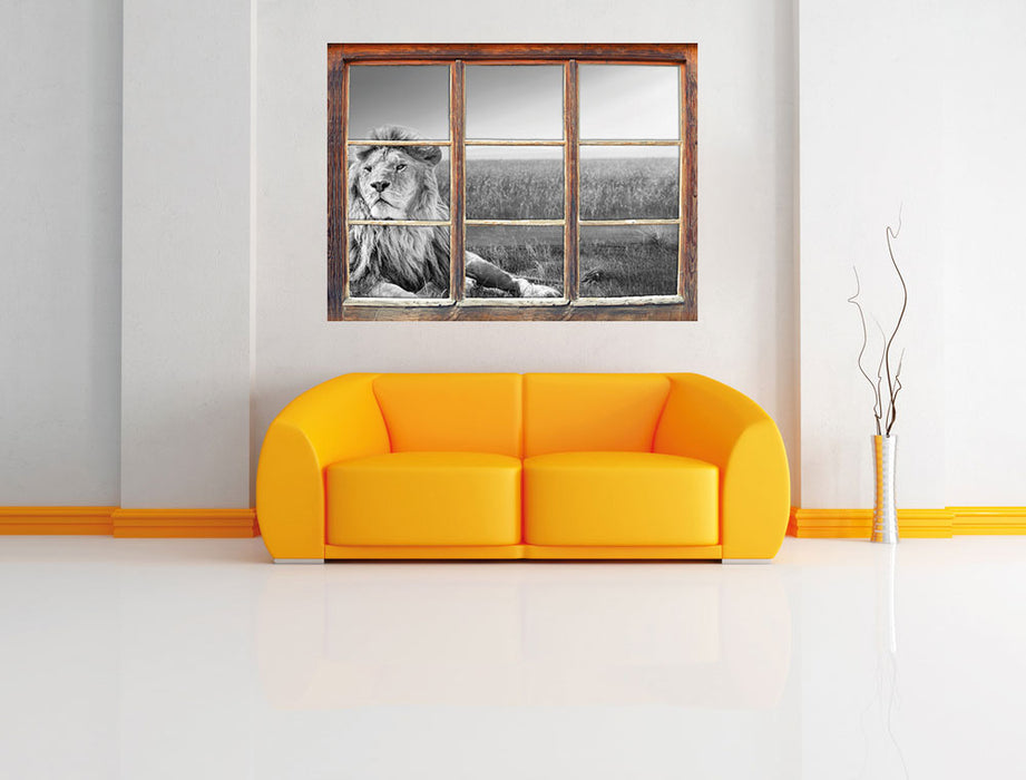 Majestätischer Löwe Kunst B&W 3D Wandtattoo Fenster Wand