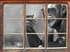 Aufmerksamer Schimpanse Kunst B&W 3D Wandtattoo Fenster