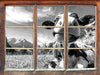 Kuh im Karwendelgebirge Kunst B&W 3D Wandtattoo Fenster