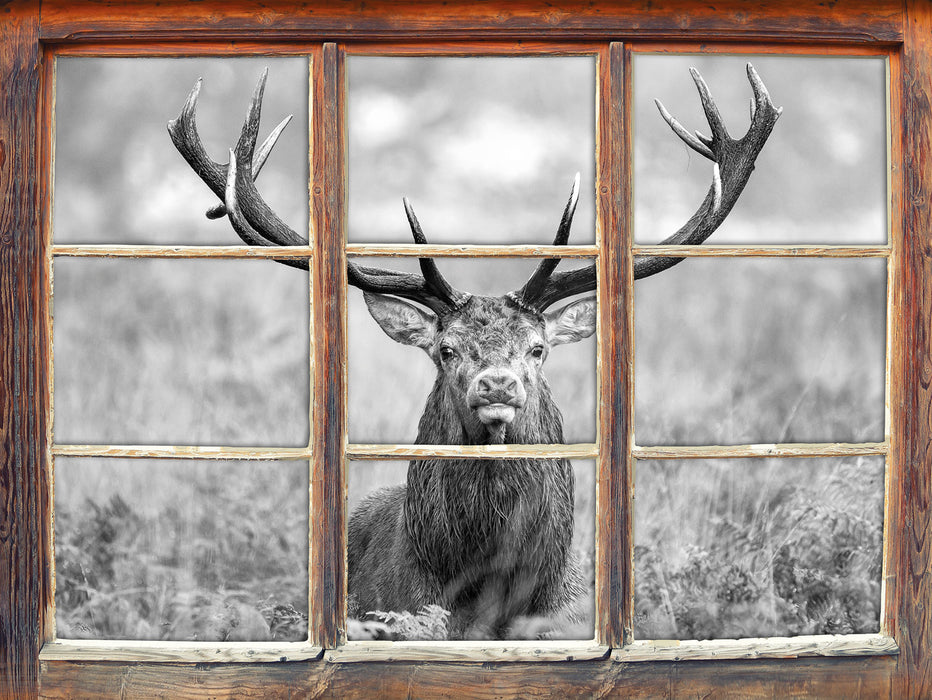 Großer Hirsch im Feld Kunst B&W 3D Wandtattoo Fenster