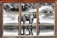 Elefant, Wiese, Himmel, Afrika 3D Wandtattoo Fenster