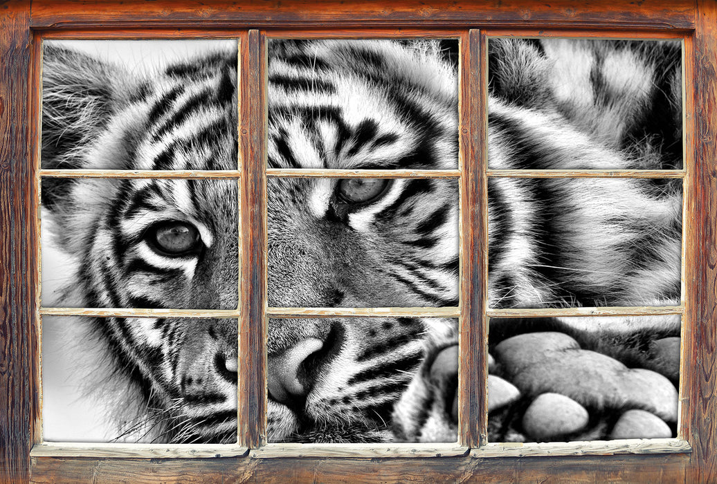 Tiger 3D Wandtattoo Fenster