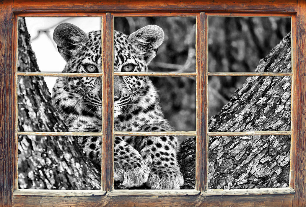Leopardenbaby 3D Wandtattoo Fenster