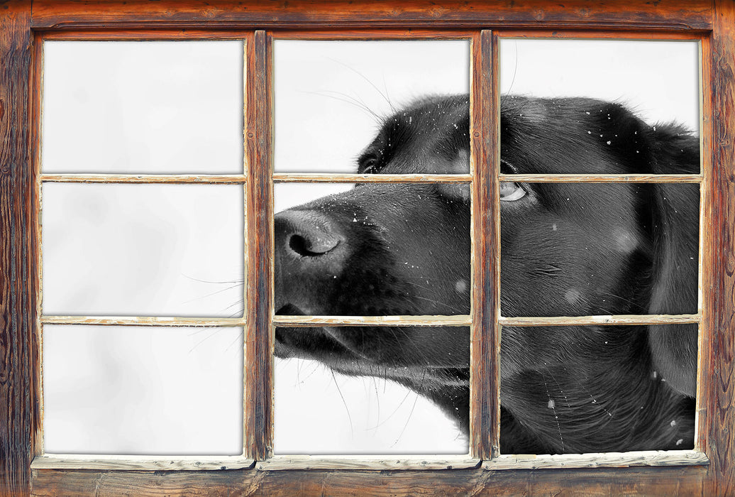 Schwarzer Labrador im Schnee B&W 3D Wandtattoo Fenster