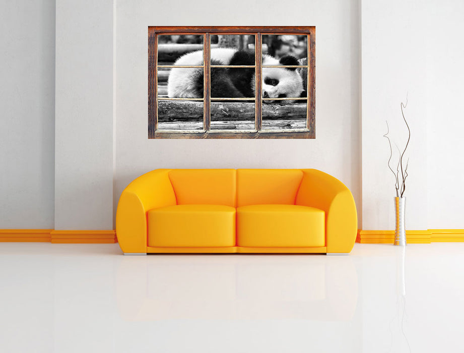 süßer kleiner Pandabär B&W 3D Wandtattoo Fenster Wand