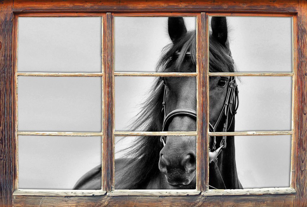 Schönes Pferd 3D Wandtattoo Fenster