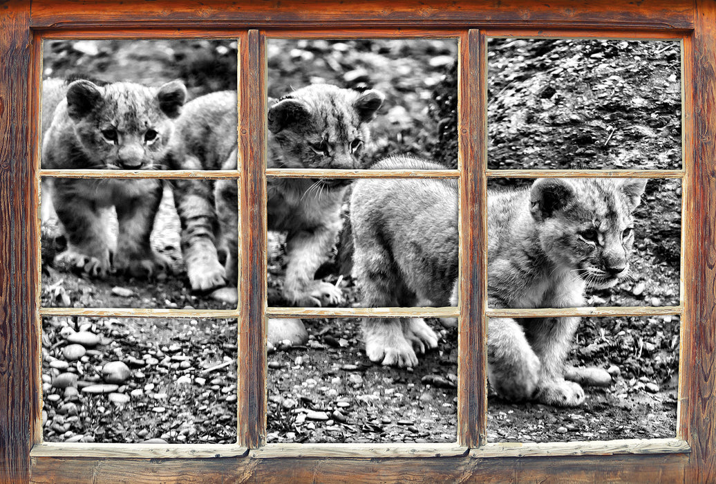 niedliche Löwenjungtiere 3D Wandtattoo Fenster