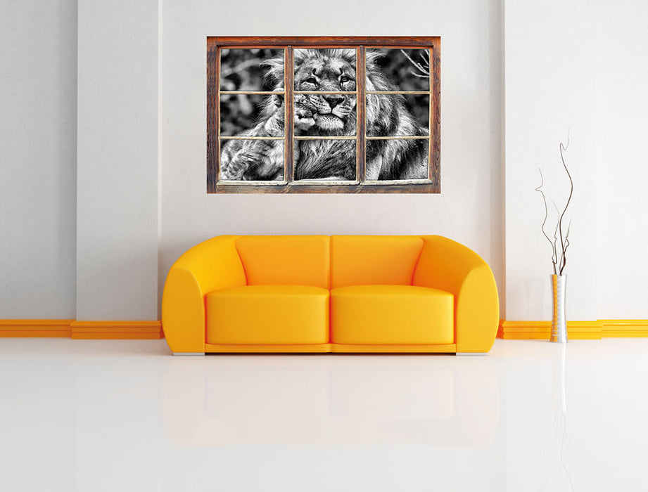 schöner Löwe mit Jungtier B&W 3D Wandtattoo Fenster Wand
