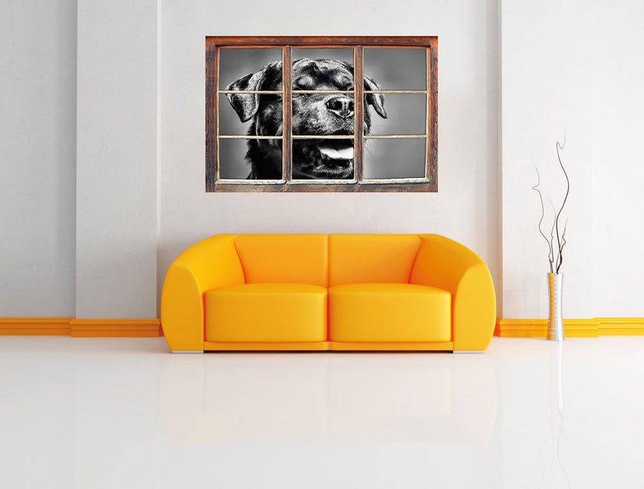 Treuer Rottweiler 3D Wandtattoo Fenster Wand
