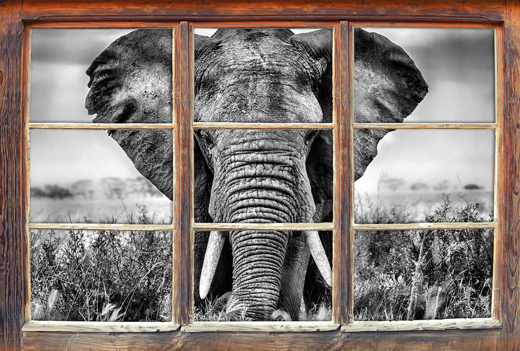Imposanter Elefant 3D Wandtattoo Fenster