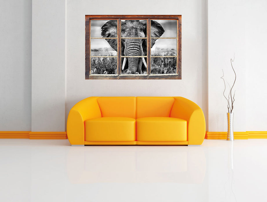 Imposanter Elefant 3D Wandtattoo Fenster Wand