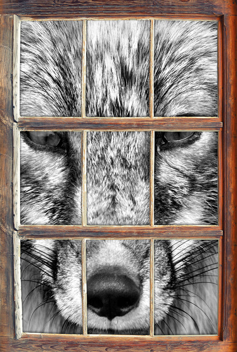 Fuchs Porträt 3D Wandtattoo Fenster