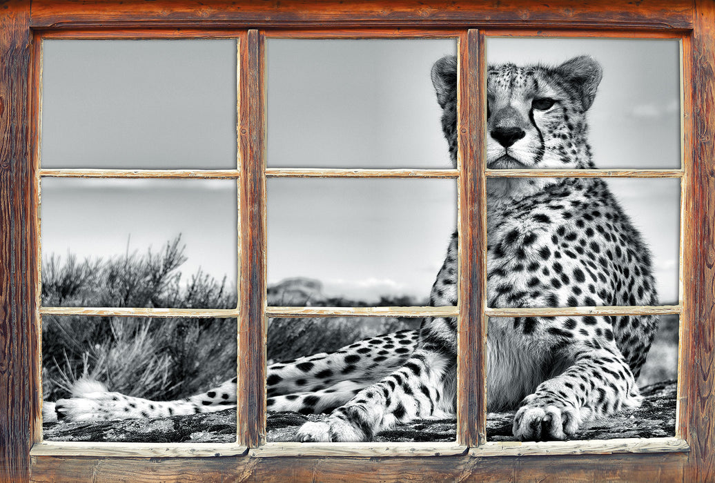 Gepard in Savanne B&W 3D Wandtattoo Fenster