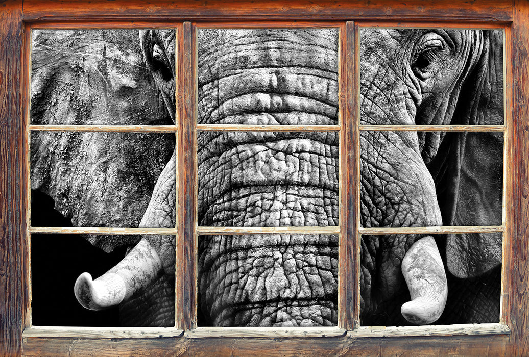 Elefant B&W 3D Wandtattoo Fenster
