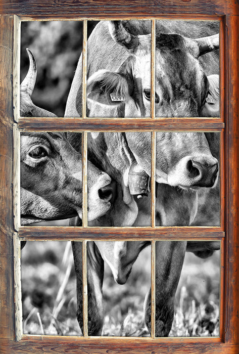 Kühe auf der Weide 3D Wandtattoo Fenster