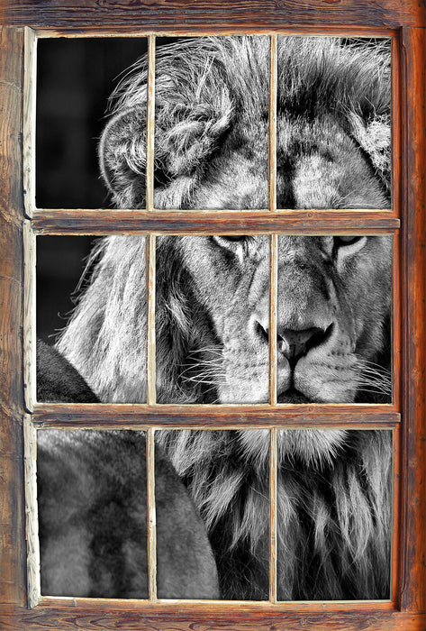schönes Löwenpaar 3D Wandtattoo Fenster
