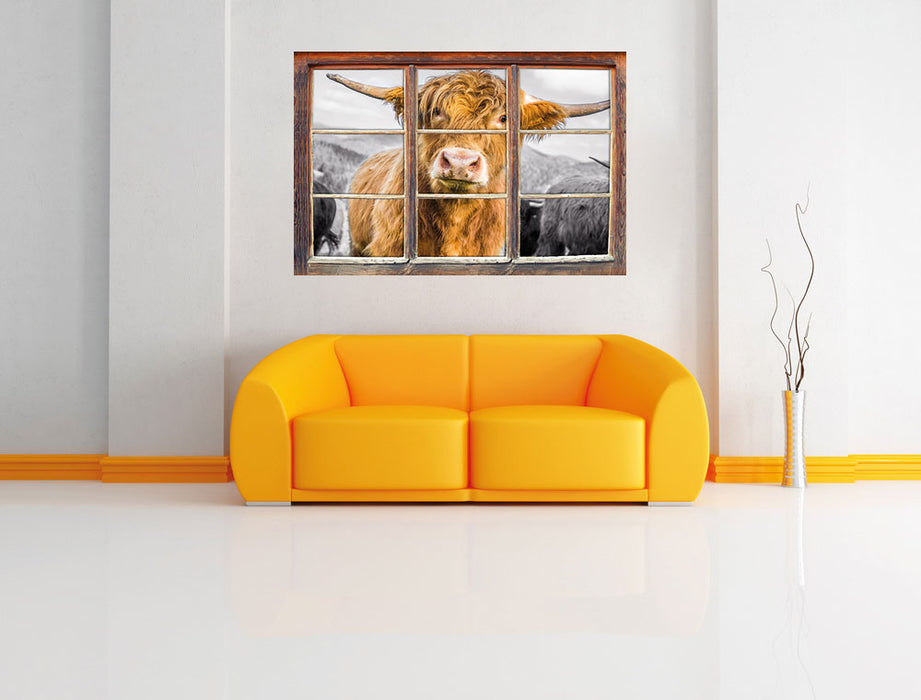 Blick einer Kuh an der Weide B&W 3D Wandtattoo Fenster Wand