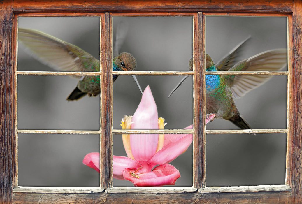 Kolibris in den Tropen 3D Wandtattoo Fenster