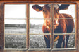 Kuh auf Butterblumenwiese B&W 3D Wandtattoo Fenster