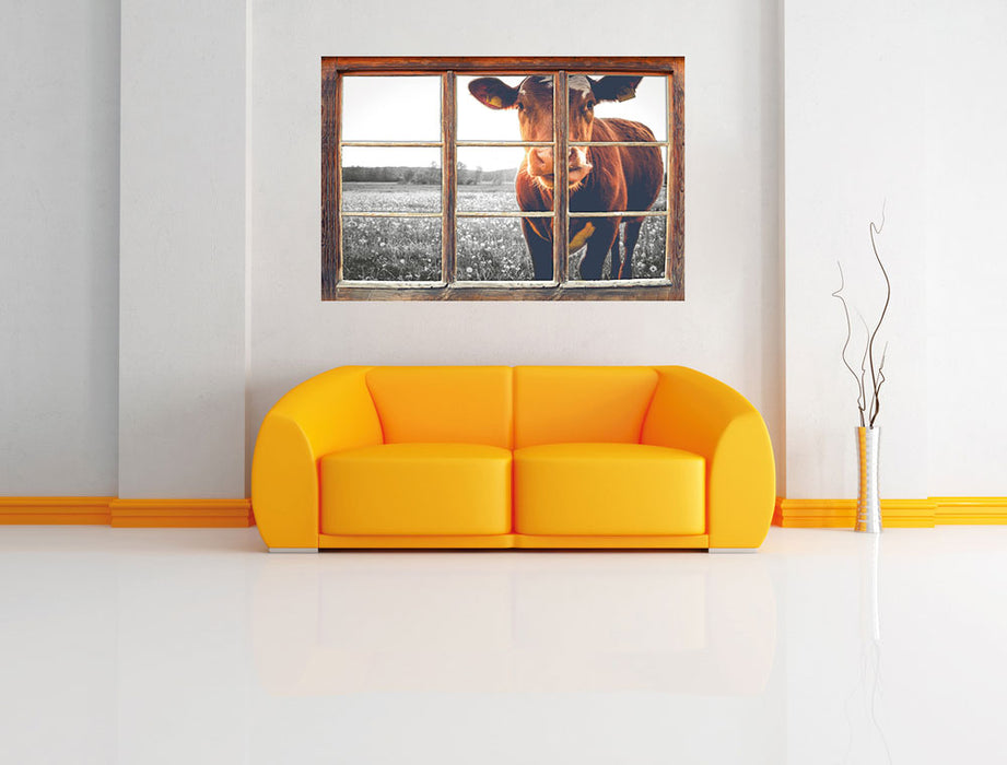 Kuh auf Butterblumenwiese B&W 3D Wandtattoo Fenster Wand