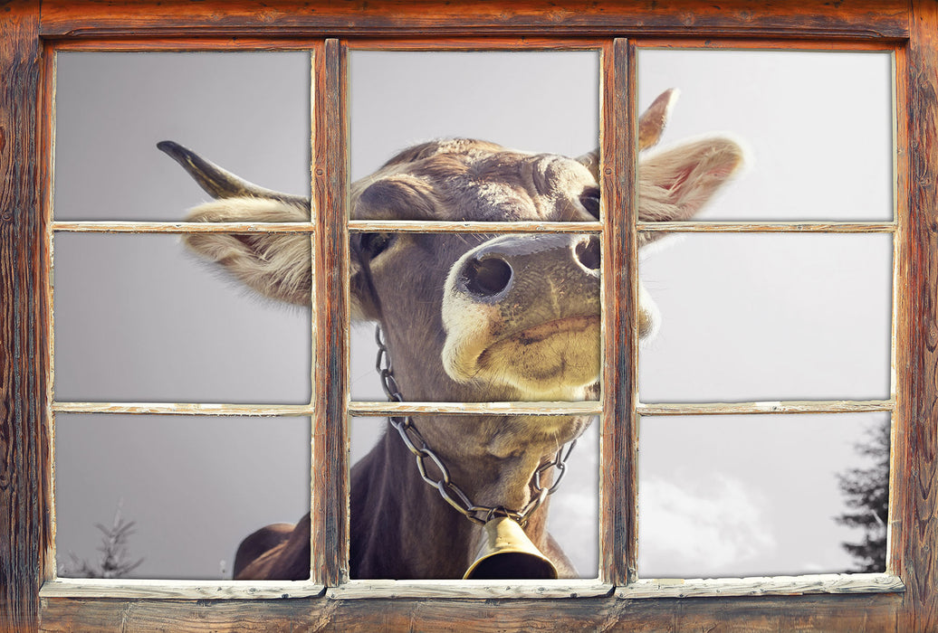 Lustiges Portrait einer Kuh B&W 3D Wandtattoo Fenster