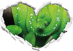 Grüne elegante Schlange  3D Wandtattoo Herz