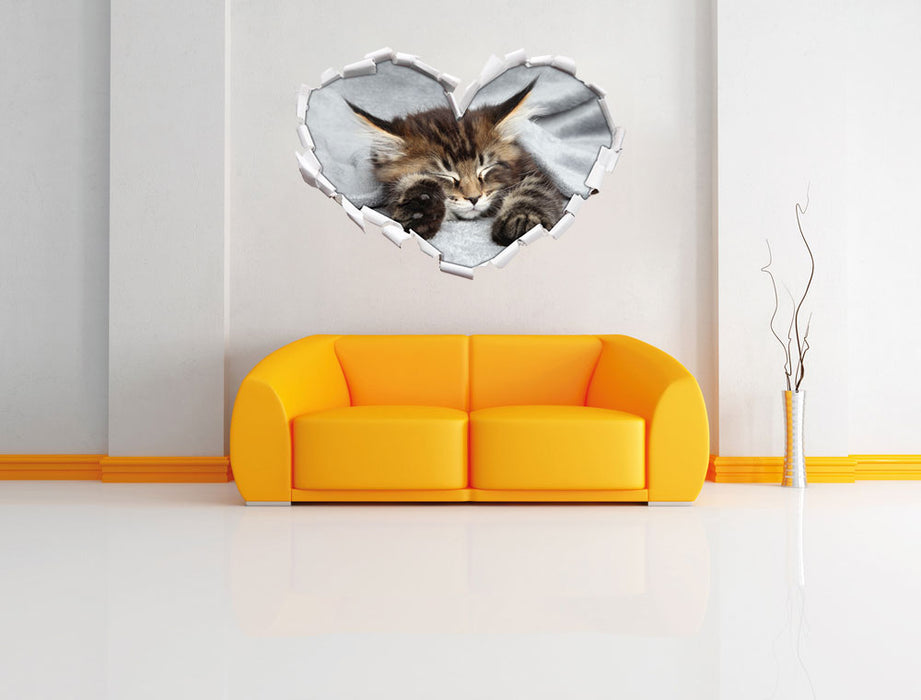 Kleines süßes Kätzchen 3D Wandtattoo Herz Wand