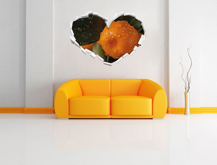Saftige frische Orange 3D Wandtattoo Herz Wand