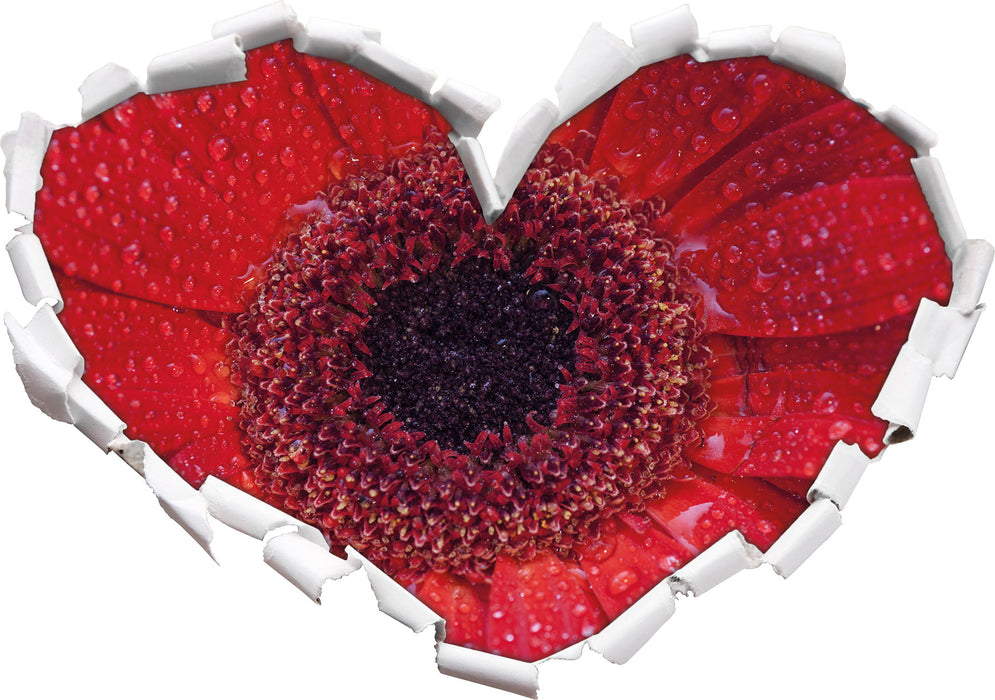 Wassertropfen auf roter Blüte  3D Wandtattoo Herz