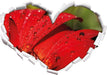Tautropfen auf roter Blume  3D Wandtattoo Herz