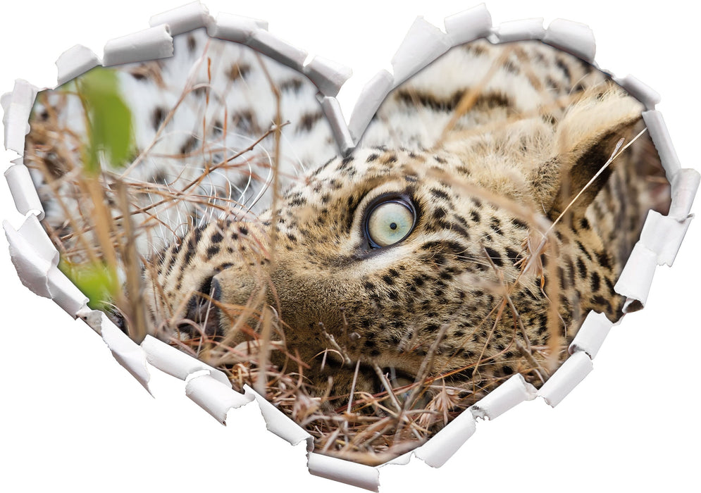 Leopard  3D Wandtattoo Herz