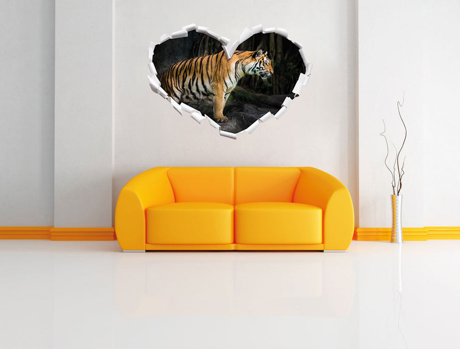 Tiger 3D Wandtattoo Herz Wand