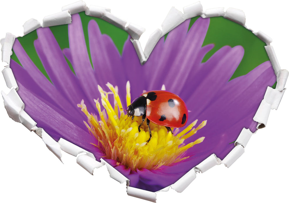 Marienkäfer auf Blume  3D Wandtattoo Herz