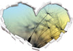 Pusteblumen mit Tautropfen  3D Wandtattoo Herz